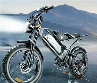 Ittemm Dawn il-Frustrazzjonijiet tal-Ebike Illum